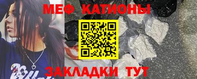 индика Дубна
