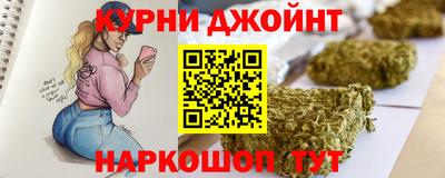 индика Дубна