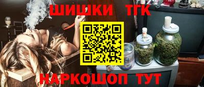 индика Дубна