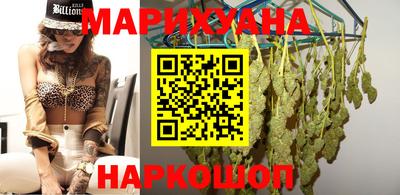 индика Дубна