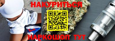 индика Дубна
