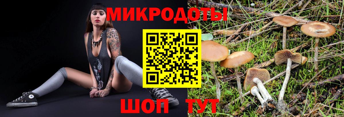 Псилоцибиновые грибы ЛСД  Вход с VPN  наркота  Ликино-Дулёво 