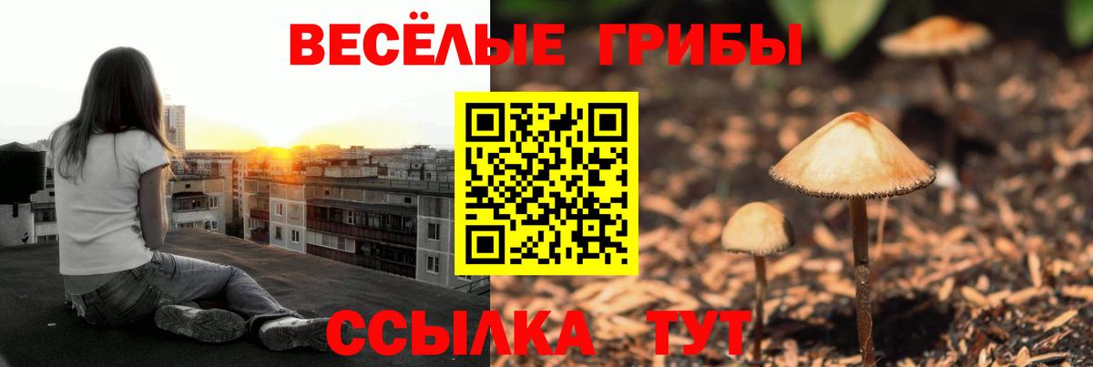 Псилоцибиновые грибы Magic Shrooms Ликино-Дулёво